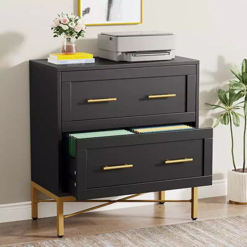 Classeur à 2 tiroirs, classeur latéral moderne en bois pour documents de format lettre/légal/A4 avec support d'imprimante pour bureau à domicile, noir et or