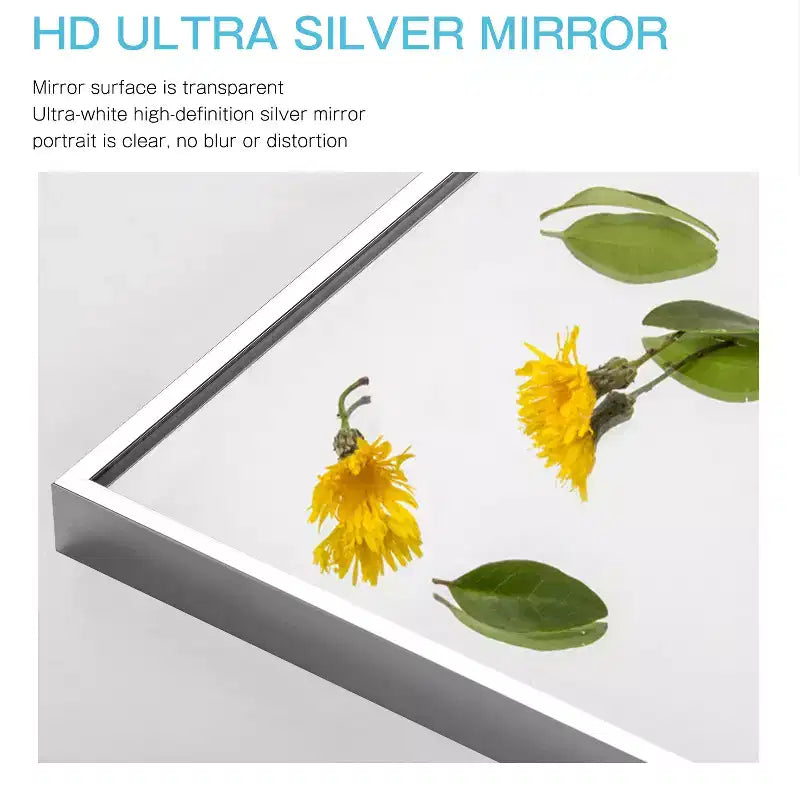Miroir mural décoratif rectangulaire Dovelina à cadre métallique moderne