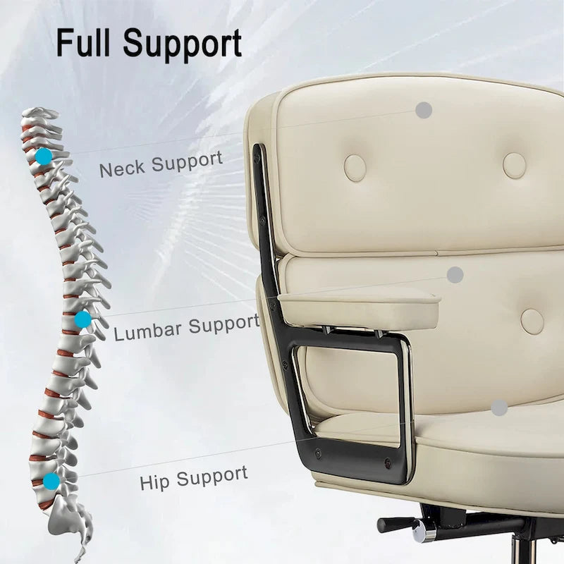 Chaise de bureau ergonomique mi-dos avec soutien lombaire